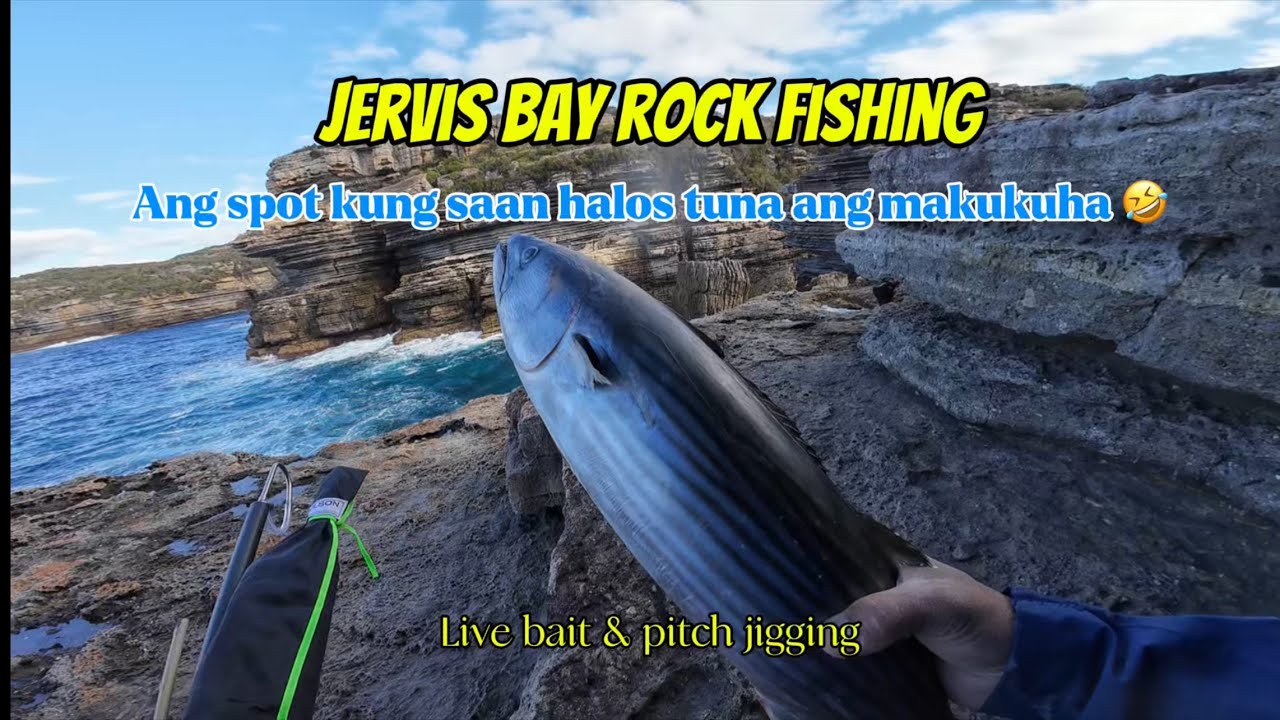 Jervis bay Rock fishing