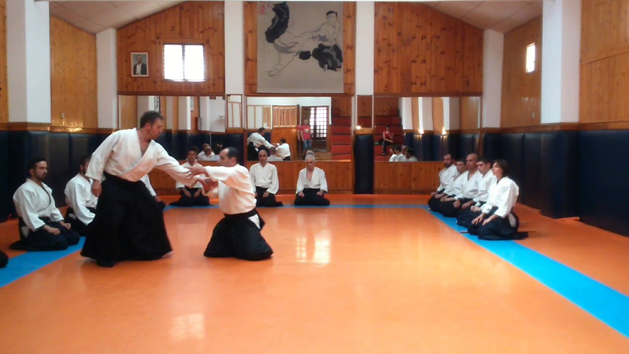 Estudio del Shihonage Parte 2 -Aikido Tomás Sánchez Shihan