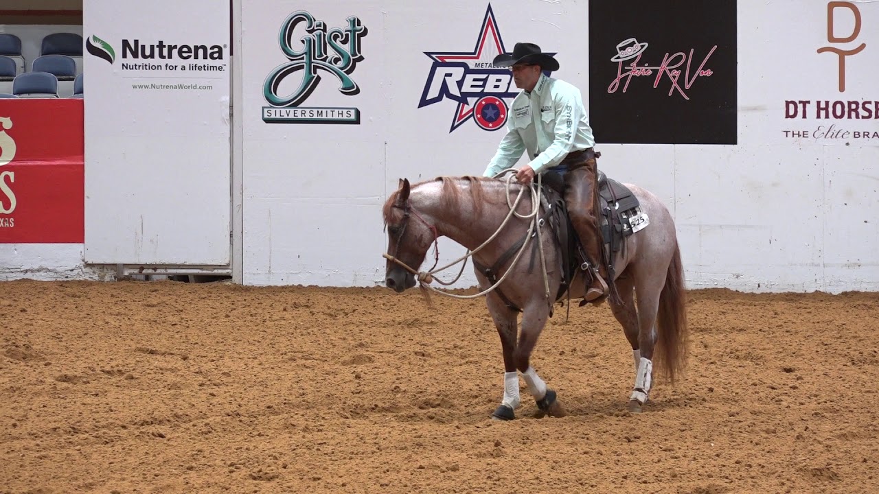 Quahadi - 2018 Snaffle Bit Futurity Open Hackamore Classic