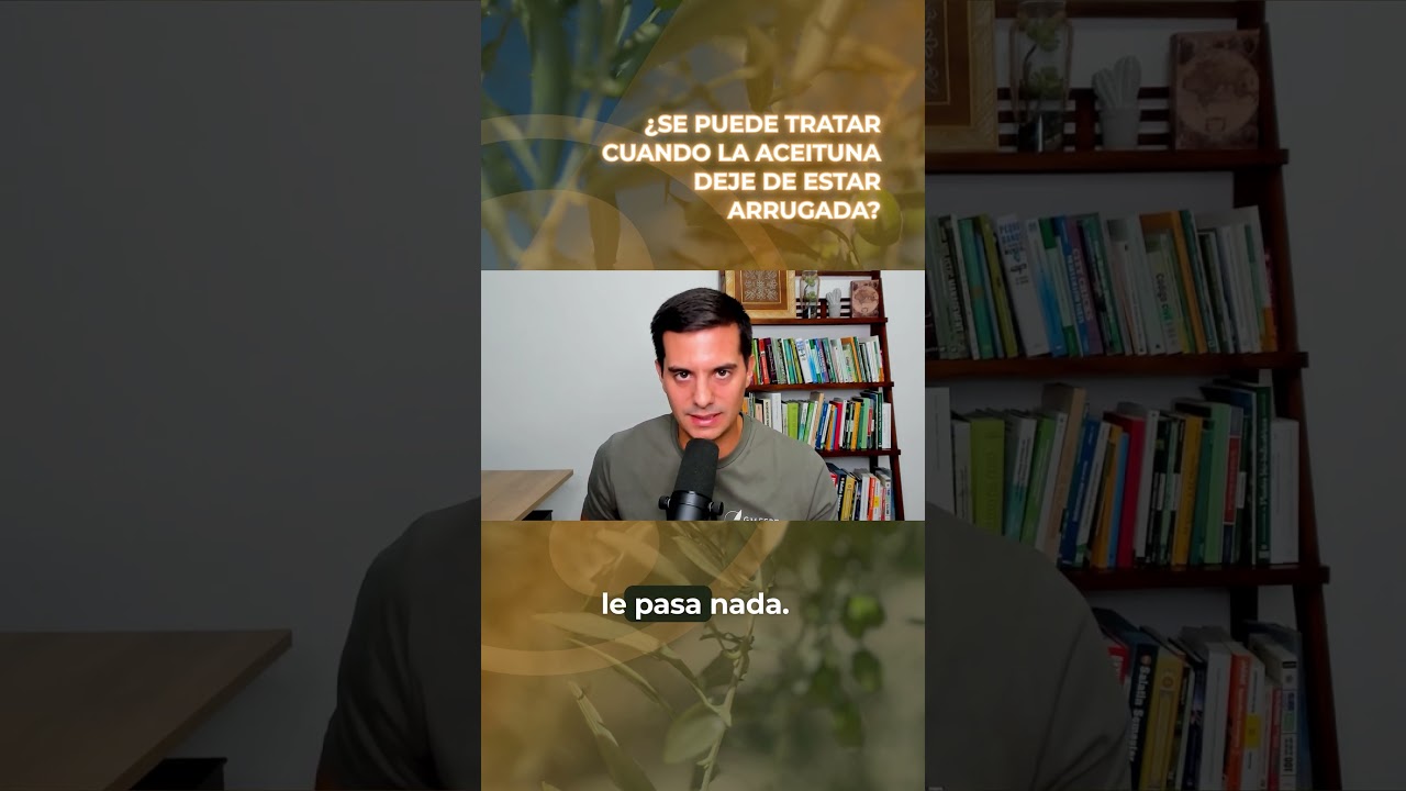 &iquest;Se puede tratar cuando la aceituna deje de estar arrugada?