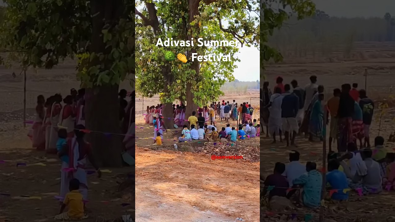 Adivasi Summer 🌳👏 Festival #adivasi #puja #santali