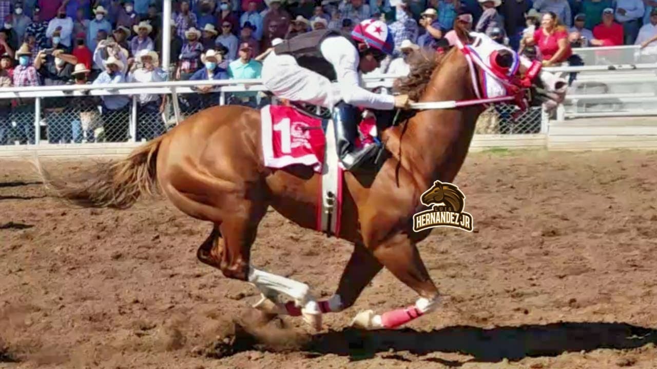 SATEVO RACE TRACK | EL PAYASO | SEMIFINAL MATURITY 325 VARAS | DE LA GARZA PHOTOFINISH |