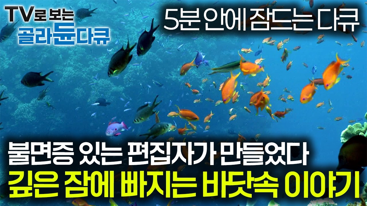 왔다 내 수면제💊 편집자는 한 번도 이 영상을 끝까지 본 적이 없습니다. 고퀄리티 심해 수면 다큐｜다큐프라임｜#골라듄다큐