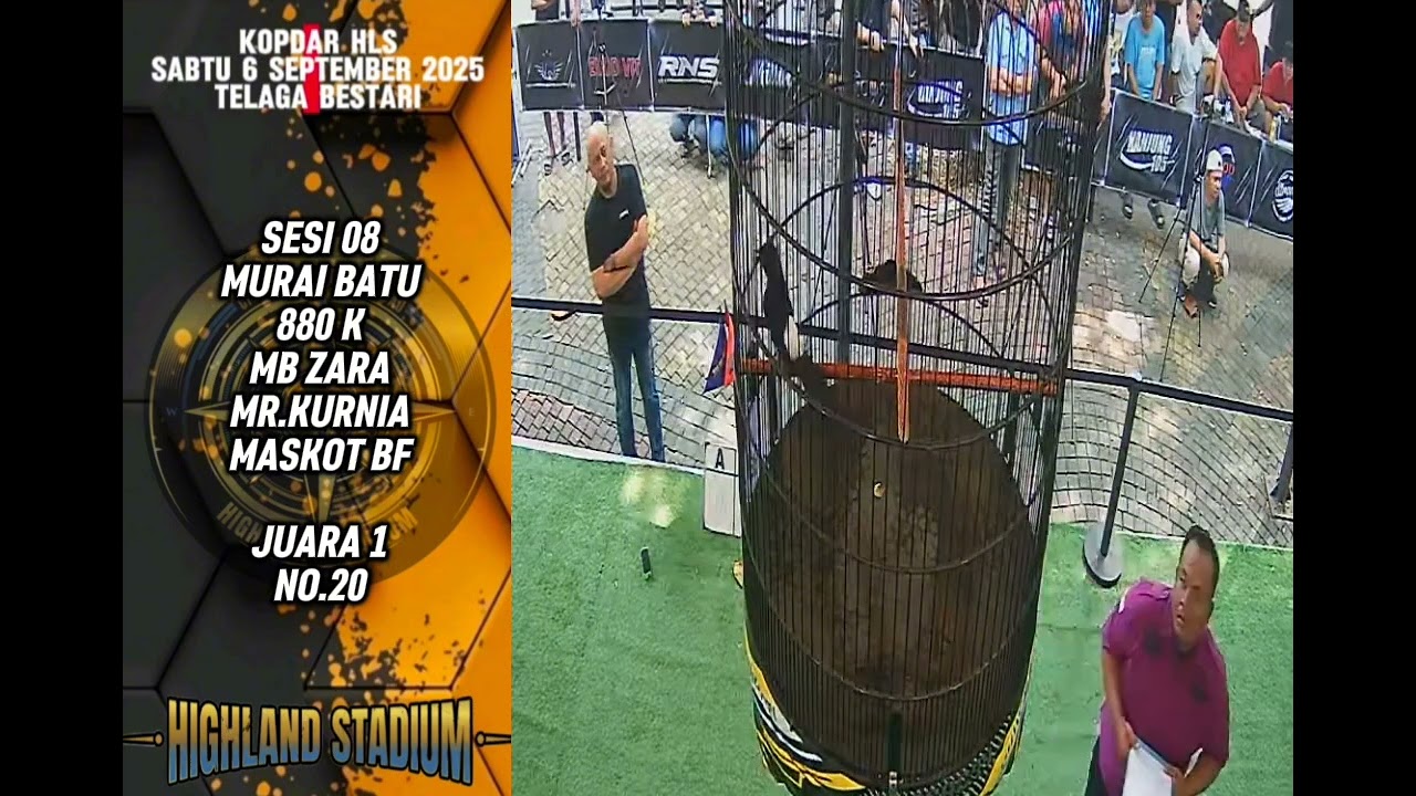 JUARA 1 MB ZARA MR.KURNIA MASKOT BF
