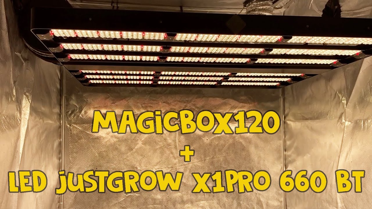 #30 Обзор гроутента MagicBox120 и лампы LED JustGrow X1Pro 660 Вт / Mr.GrowChannel
