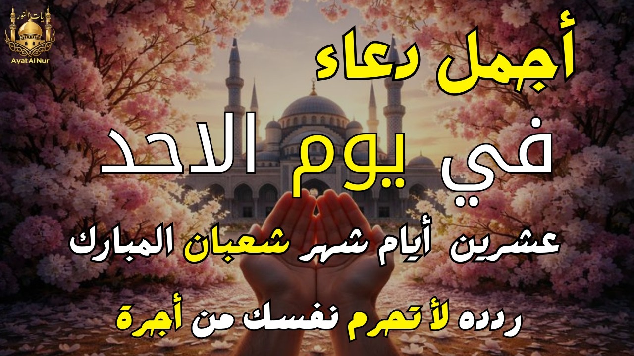 دعاء في ثالث يوم من شهر شعبان 2026 يوم رفع البلاء وقضاء الحوائج وجلب الرزق 🤲