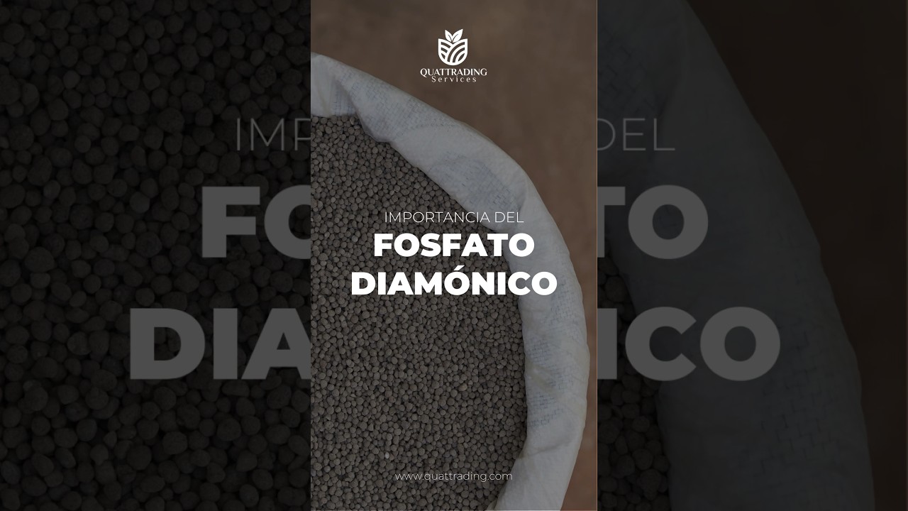 IMPORTANCIA DE EL FOSFATO DIAM&Oacute;NICO (DAP) EN LA AGRICULTURA - QUATTRADING SERVICES