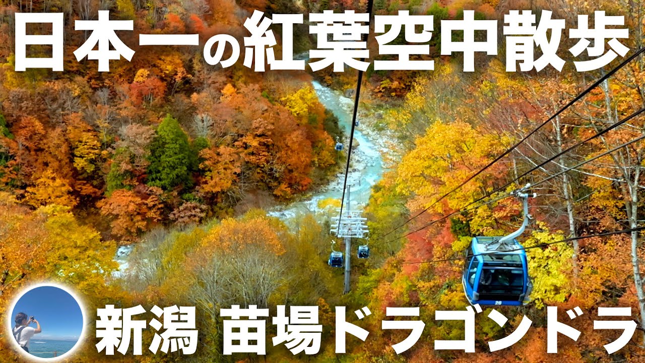人生で１度は行きたい25分の空中散歩 日本一の紅葉 苗場ドラゴンドラ