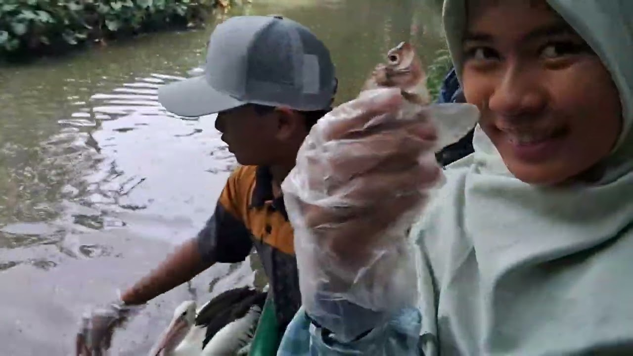 Kebun Binatang Surabaya