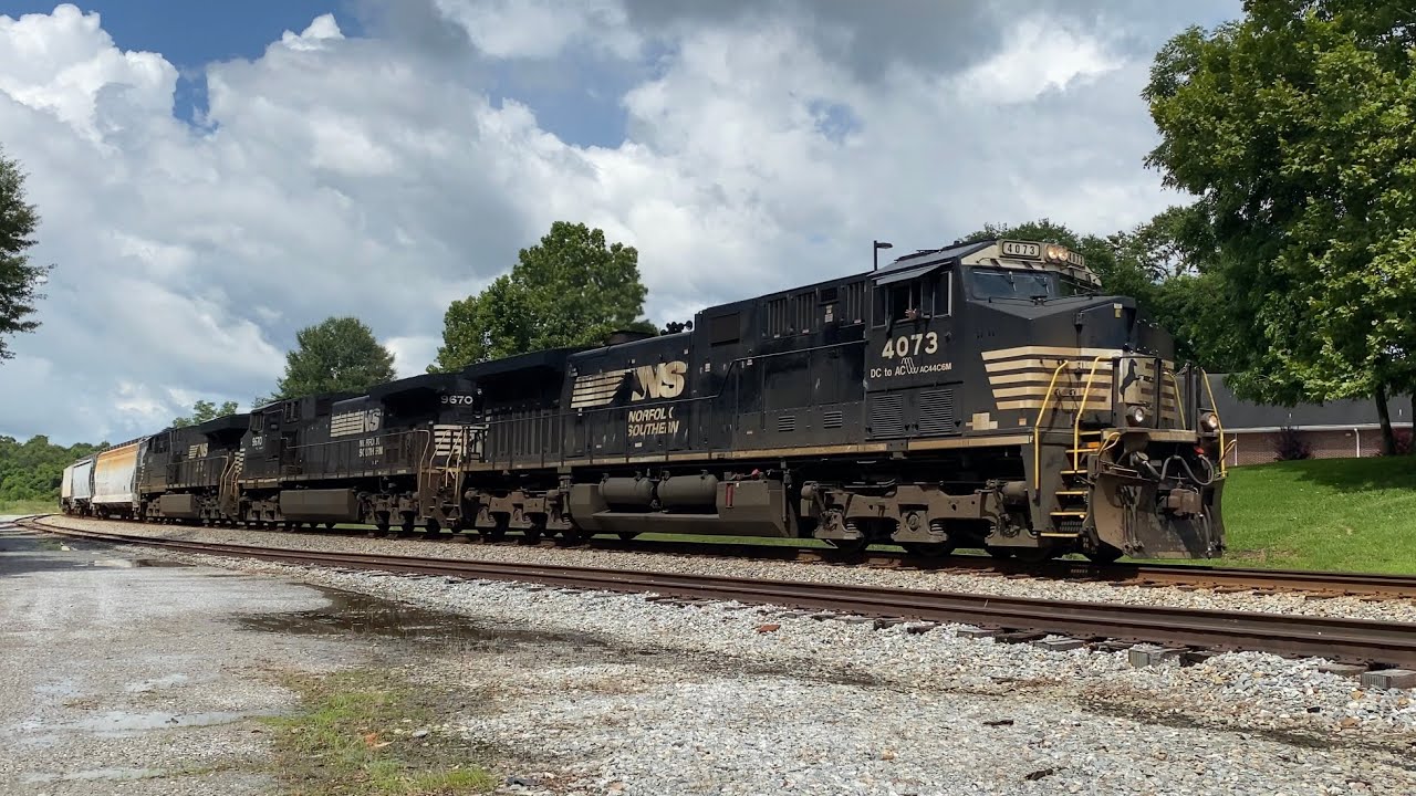NS 4073 Leads NS 355 with a Sweet P5!