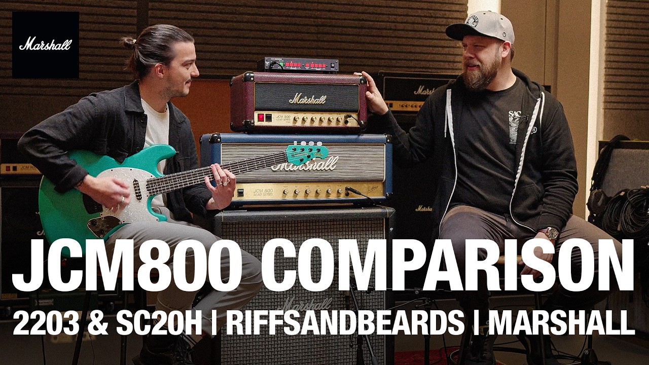 Сравнение JCM800 с Fluff (RiffsAndBeards) | 2203 и SC20H | Marshall