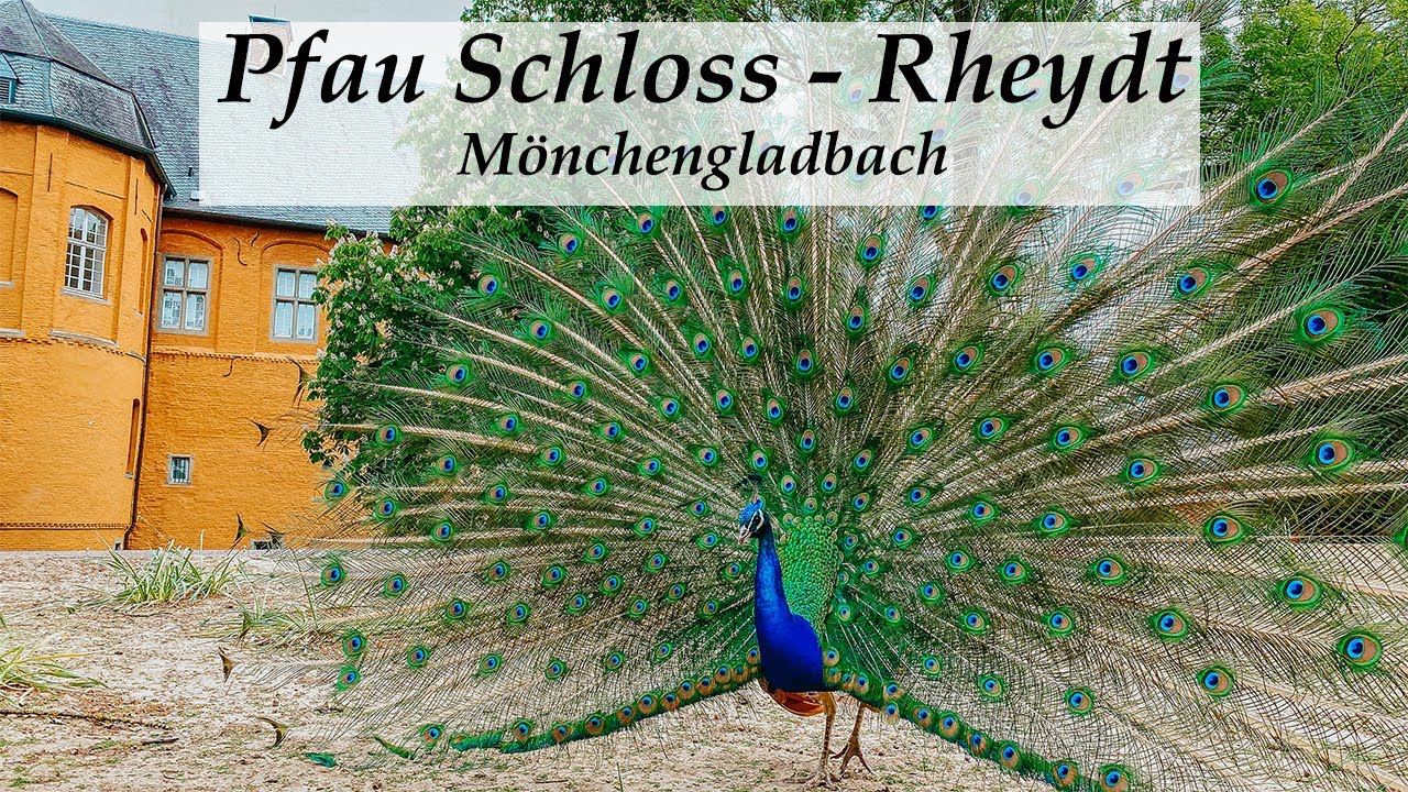 Schloss Rheydt Mönchengladbach NRW