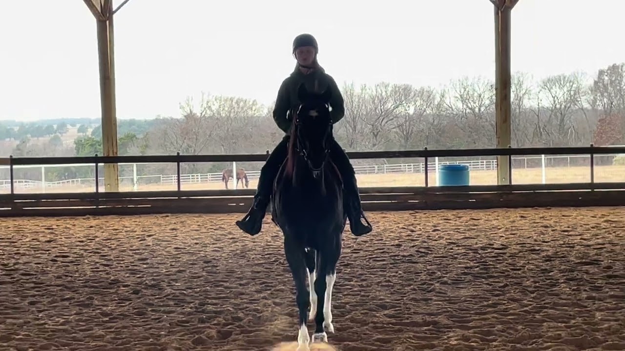 55-Kora and Shiloh reining Jan 2026