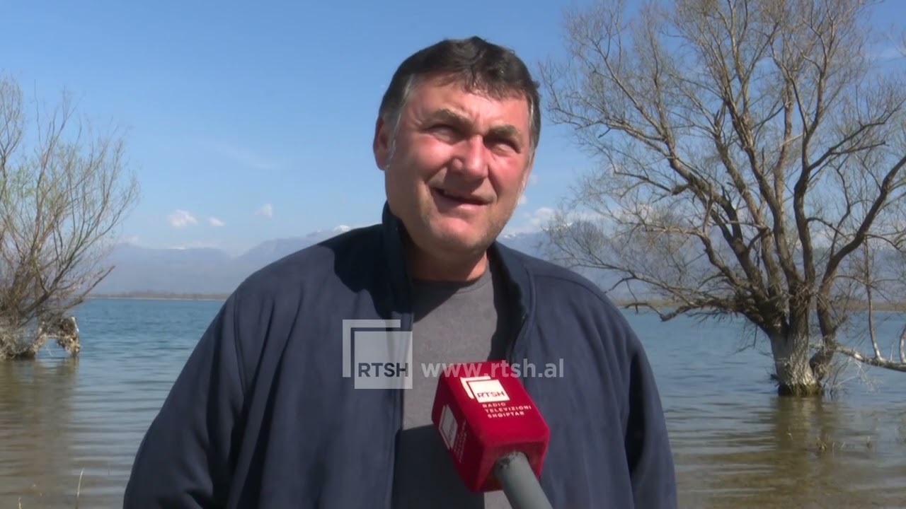 Resurset peshkore në liqenin e Shkodrës, specialistët thonë se disa specie peshqish po rikuperohen