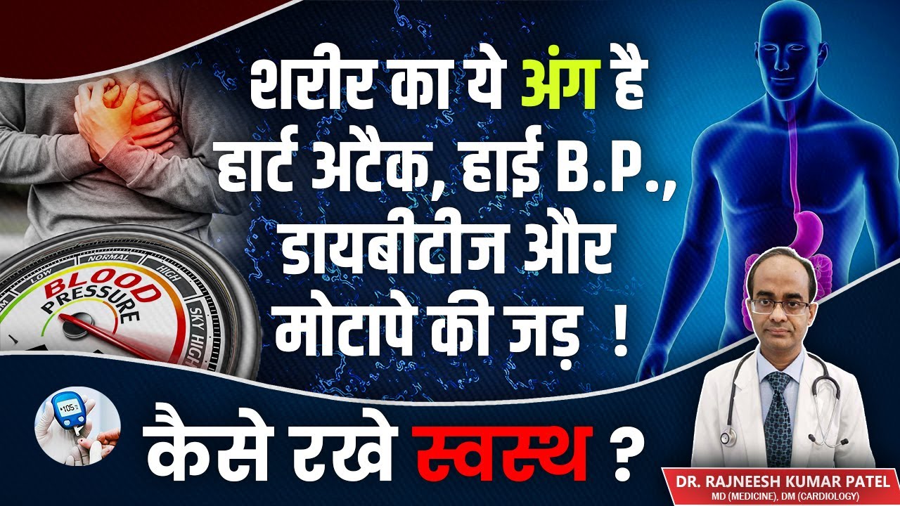 शरीर का ये अंग है हार्ट अटैक, हाई B.P.,डायबिटीज और मोटापे की जड़ !  कैसे रखें स्वस्थ ?
