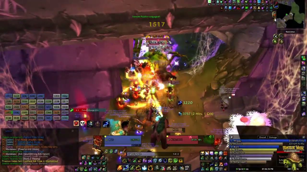 Turtle Wow - Naxxramas - Maggy - Elemental Shaman - Classic + LIVE