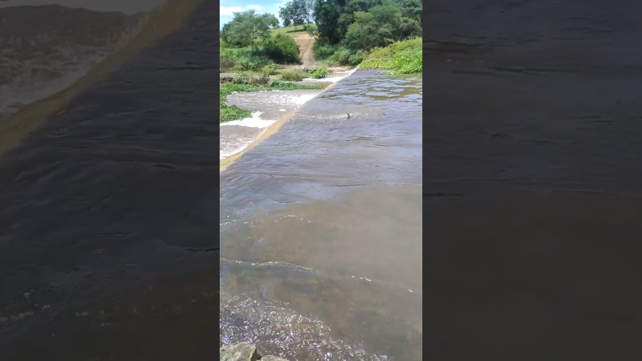 Depois das chuvas nosso rio transbordou #viral #tempestades #enchentes