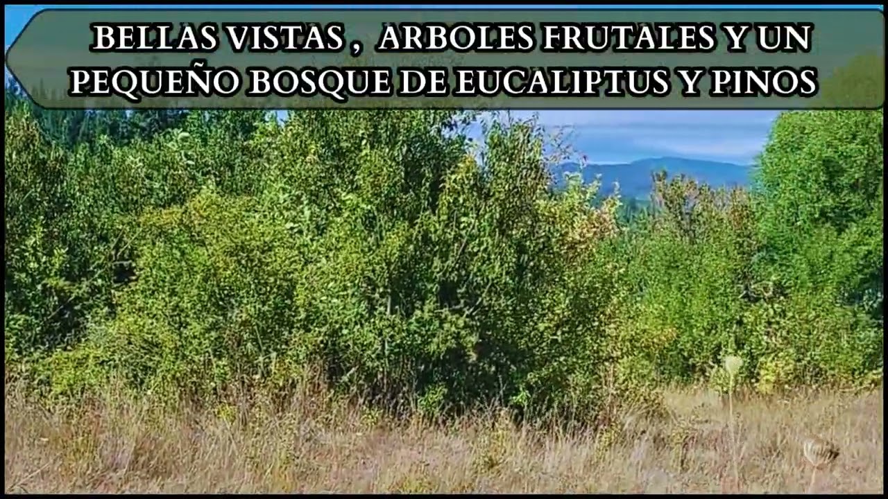 SE VENDE HERMOSO TERRENO DE 4 HECTAREAS EN NACIMIENTO