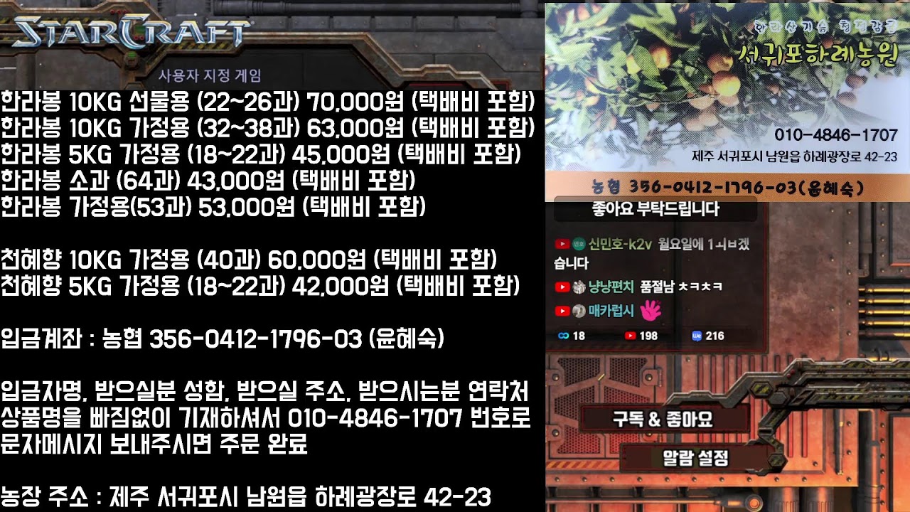 26.3.13(금) [로카] 스타 빨무 스타크래프트 빠른무한 Starcraft