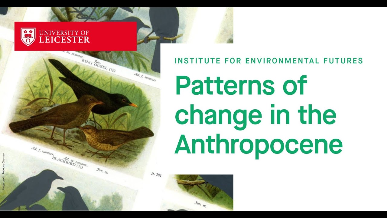 Patterns of change in the Anthropocene