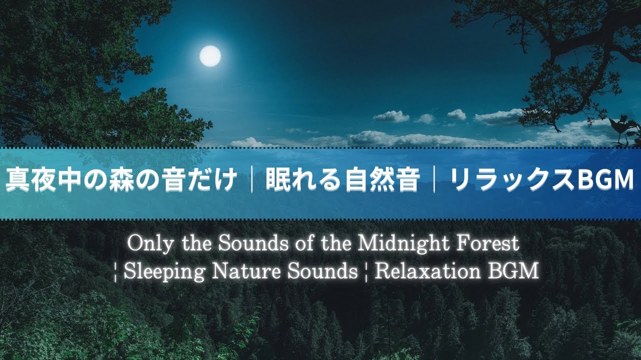 真夜中の森の音だけ｜眠れる自然音｜睡眠・リラックスBGM ／ Only the sounds of the forest at midnight