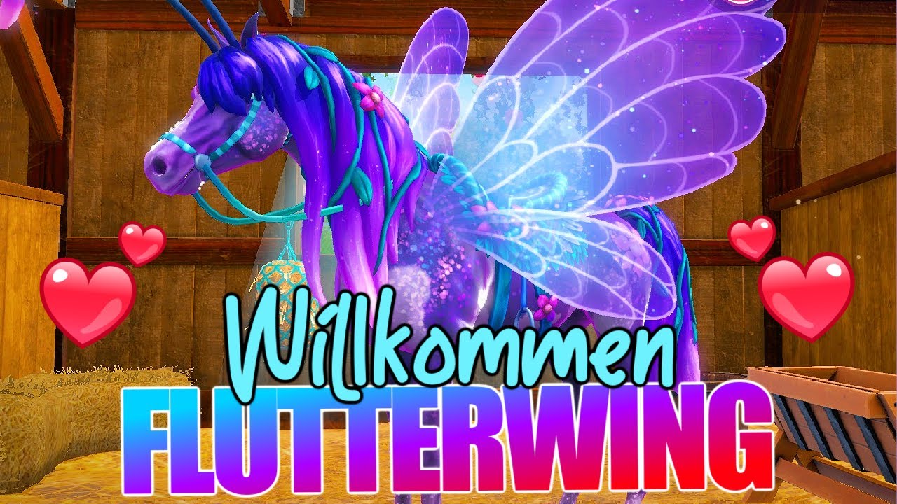 herzlich Willkommen FLUTTERWING 🦄 LIMITIERTER ARABER 💕 Star Equestrian
