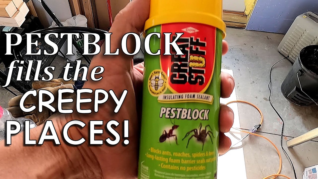 PESTBLOCK заполняет жуткие места… 🐞