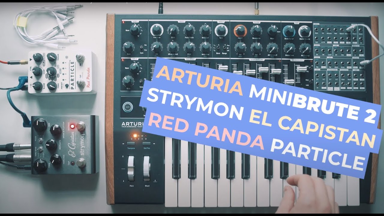 Arturia Minibrute 2 with Strymon El Capistan, Red Panda Particle and Microcassette Dictaphone