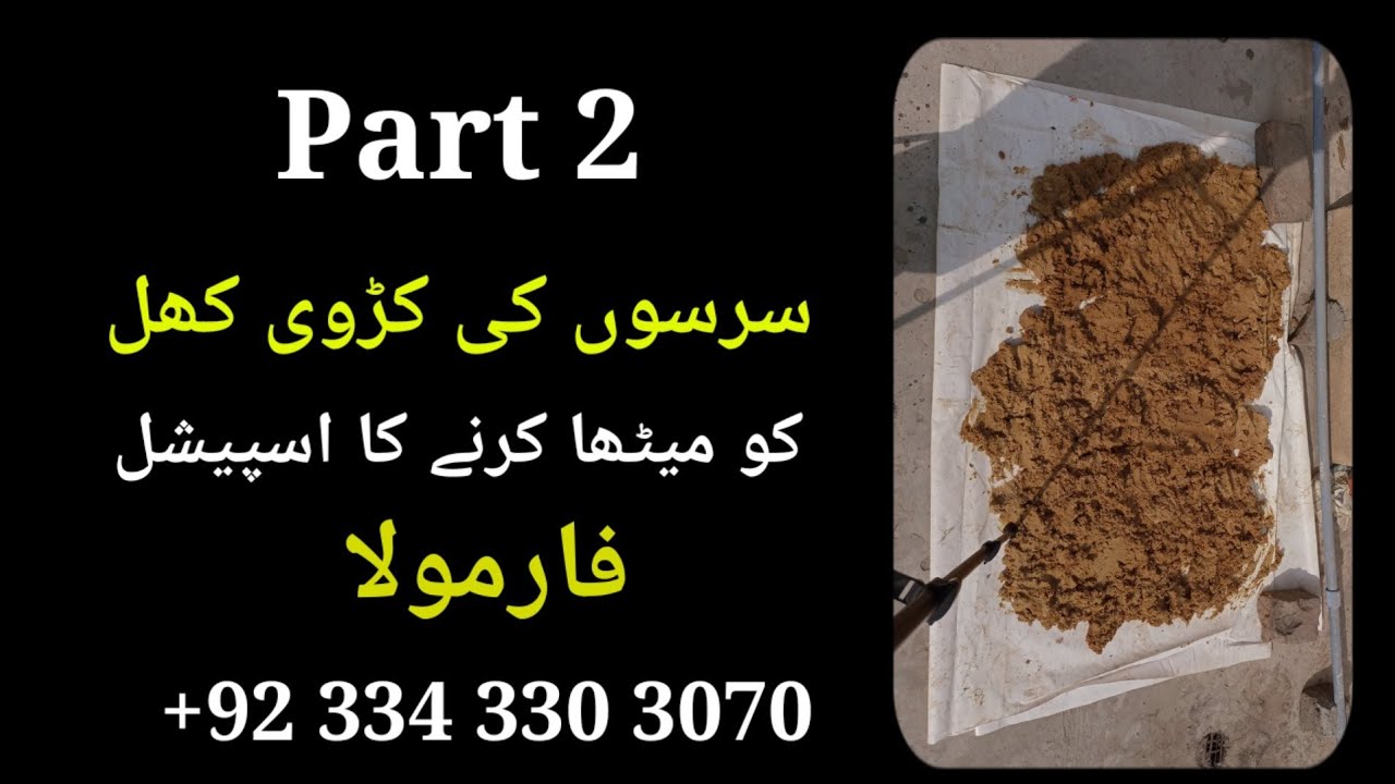 Sarso Ki Khal Ko Mita Karny Ka Formula Part 2 || Best Bait For Carp ||
