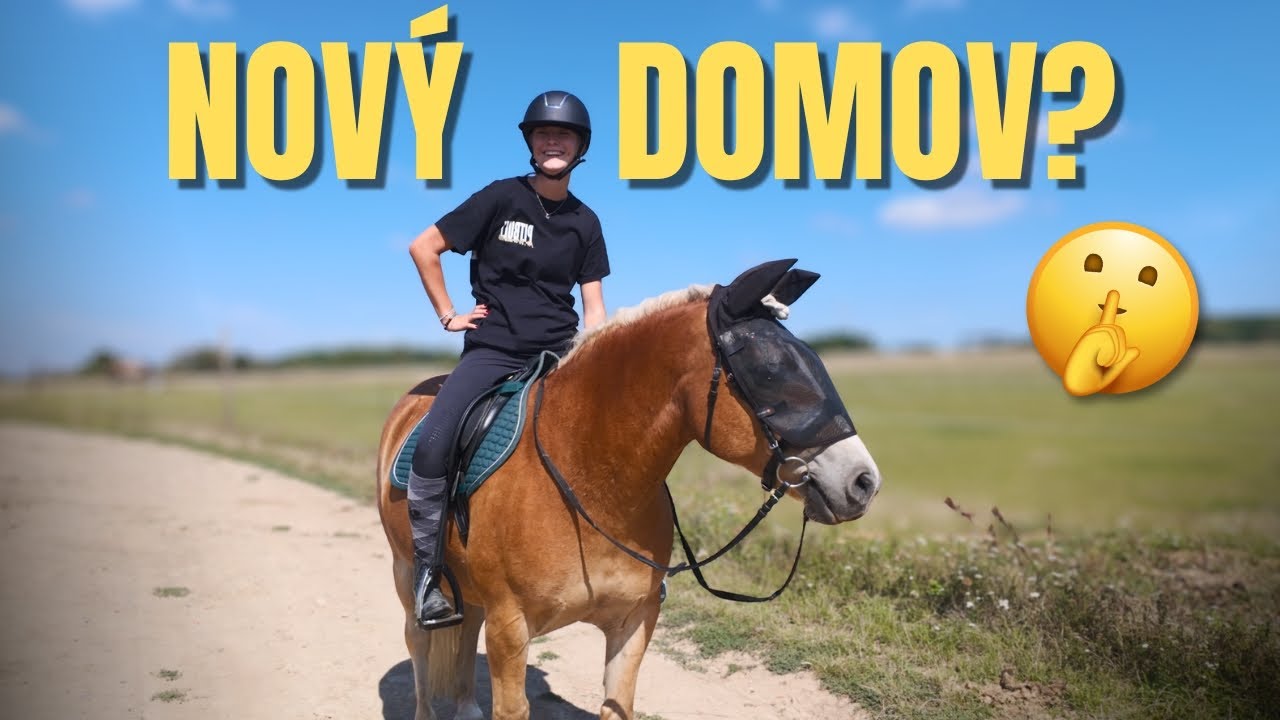 Stěhujeme se do nové stáje... nebo ne?! | VLOG