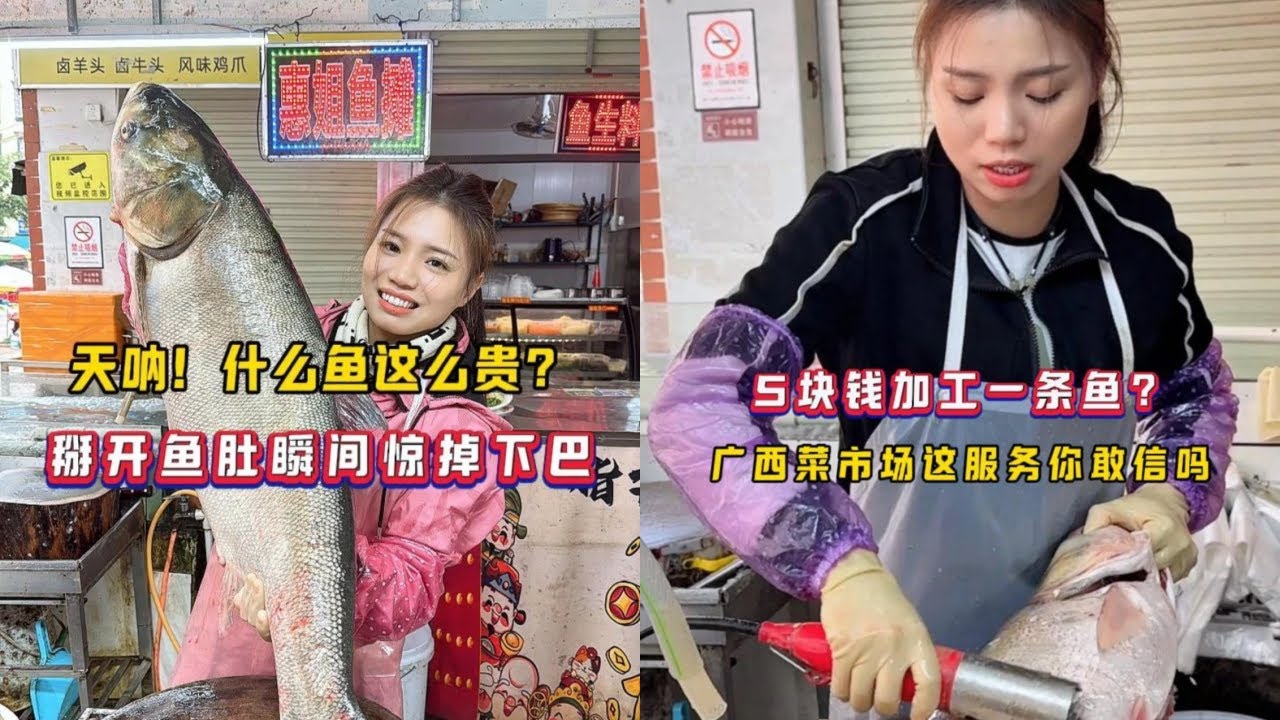 天呐！什么鱼这么贵？掰开鱼肚瞬间惊掉下巴！｜5块钱加工一条鱼？广西菜市场这服务你敢信吗？