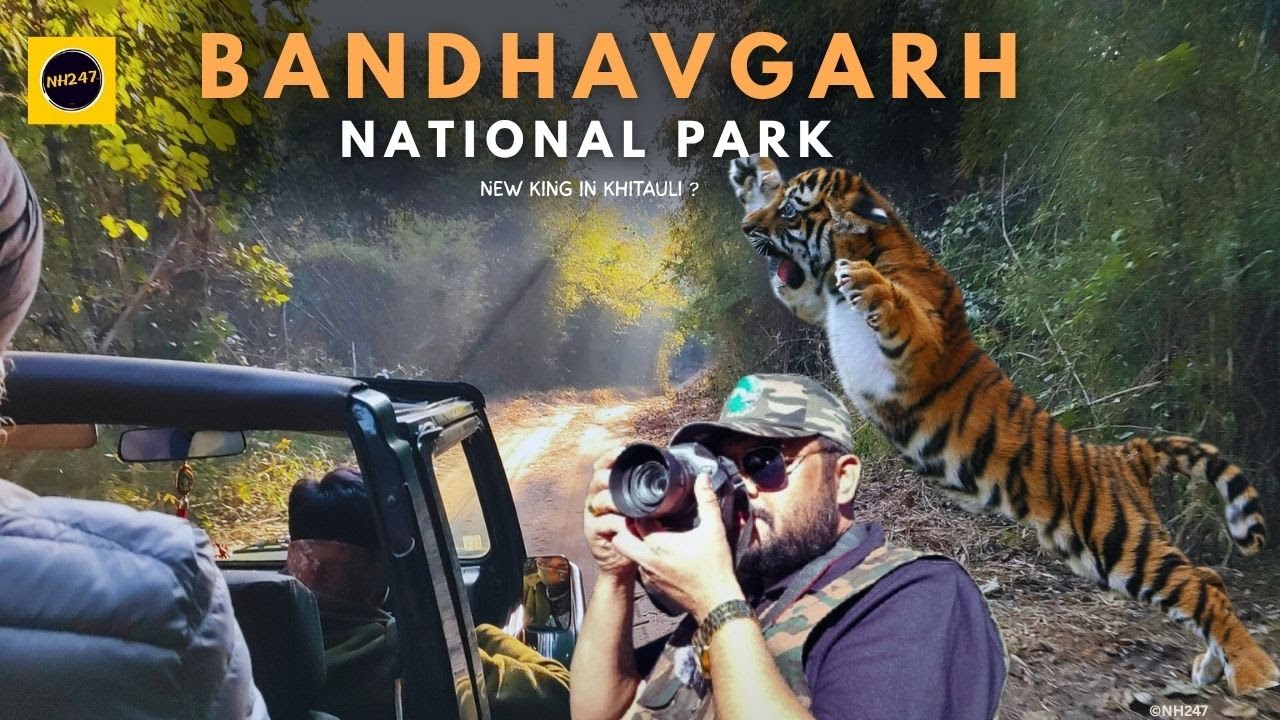 Bandhavgarh के खूंखार टाइगर्स की कहानी, Bandhavgarh National Park, Khitauli Zone Safari