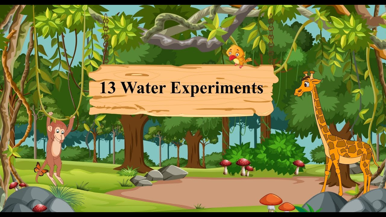 Environmental Trail Book 5 : Chapter 13 - Water Experiments