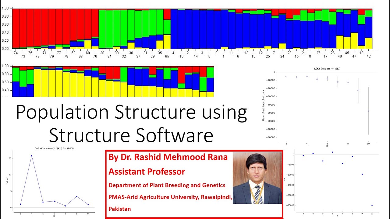 Population Structure Analysis using Structure Software | Easy Tutorial in Urdu | Hindi