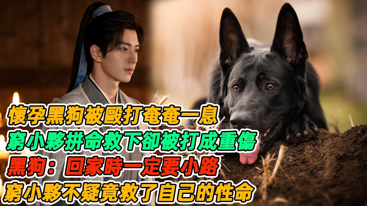 民間故事：懷孕黑狗被毆打奄奄一息，窮小夥拼命救下卻被打成重傷，黑狗：回家時一定要小路，窮小夥不疑竟救了自己的性命