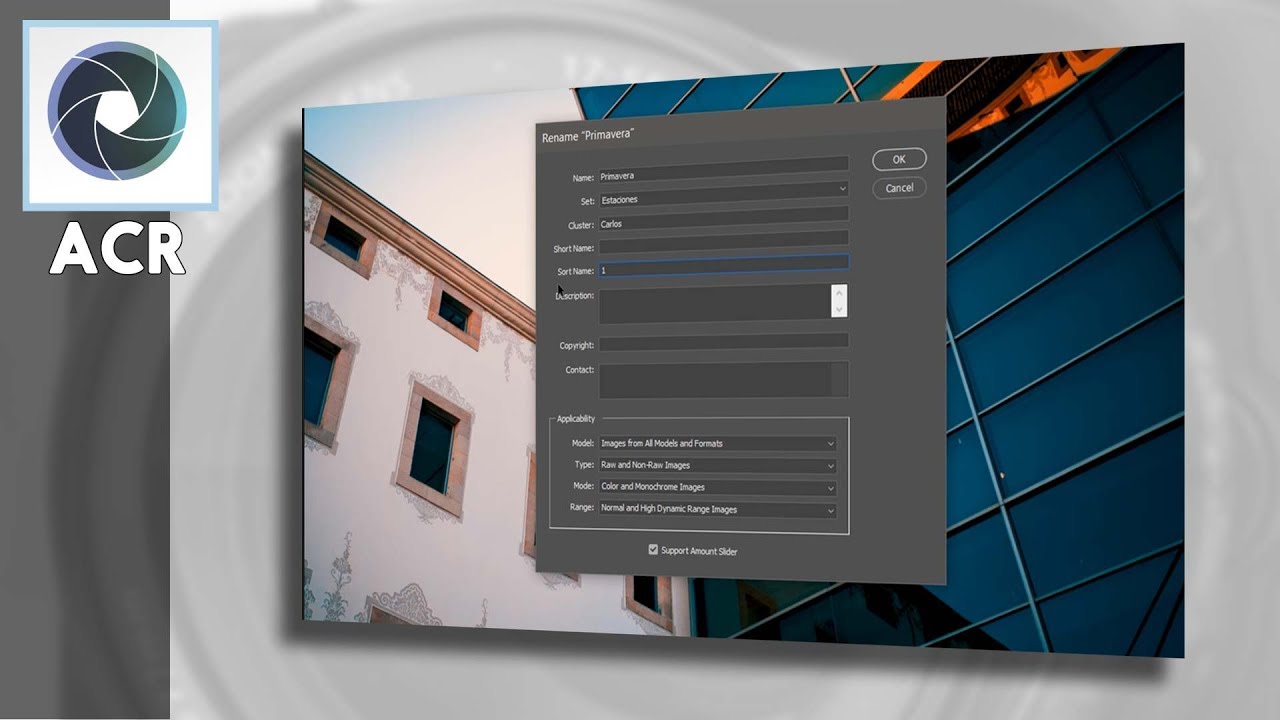 Cómo organizar los nuevos perfiles desde Camera Raw: conjuntos, clústers y ordenación