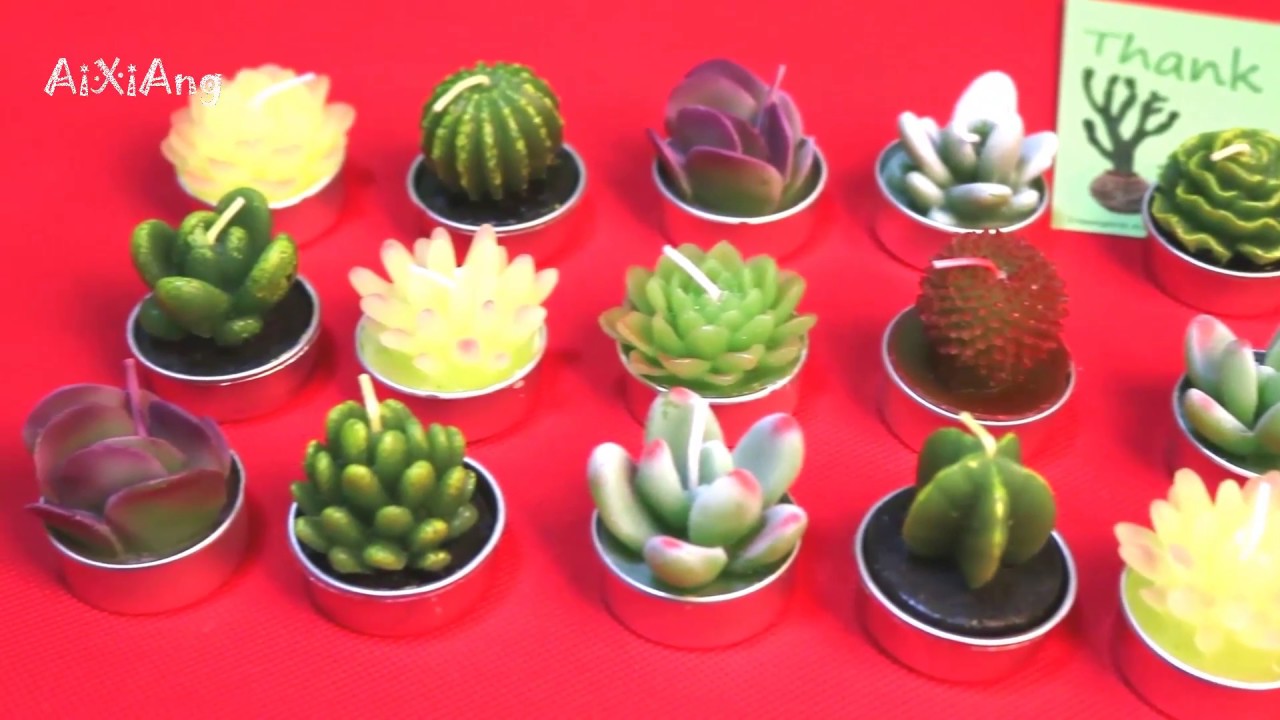 Delicate Cactus Tealight Candles Gift Boxed for Home Decorative Candles Christmas Home Decor Gift