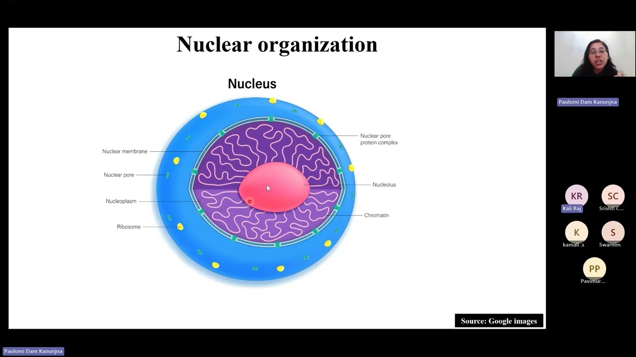 NPTEL_Cell_Biology_Problem_solving_session_06