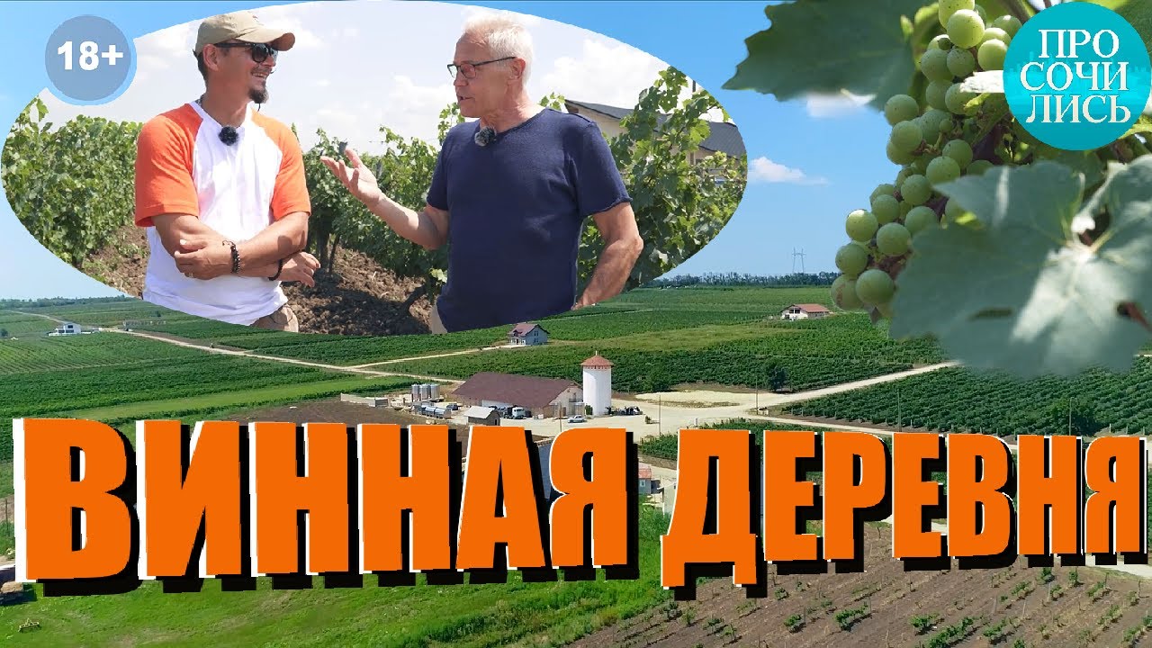 Винодельни Анапы 🍇 Винная деревня ➤история виноделия в России ➤виноградники Анапы 2022 🔵Просочились