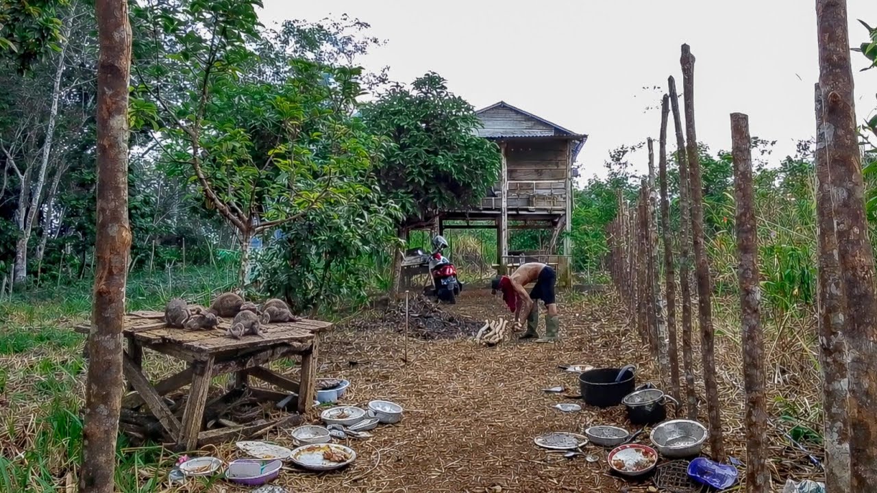 BONGKAR HABIS!! BERSIHKAN PONDOK DAN KEBUN, MENYAMBUT KELUARGA KECIL