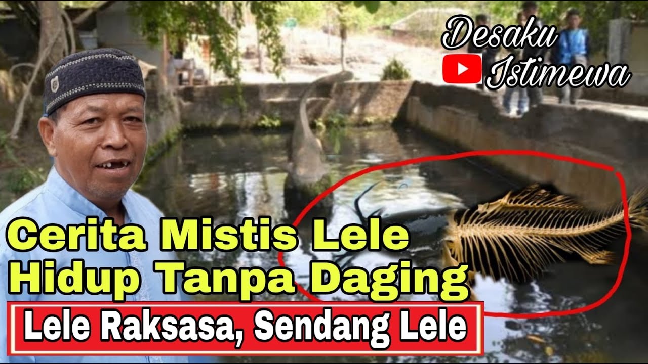 🔴Lele Raksasa dan Kisah mistis sendang lele dusun baseng desa gentan