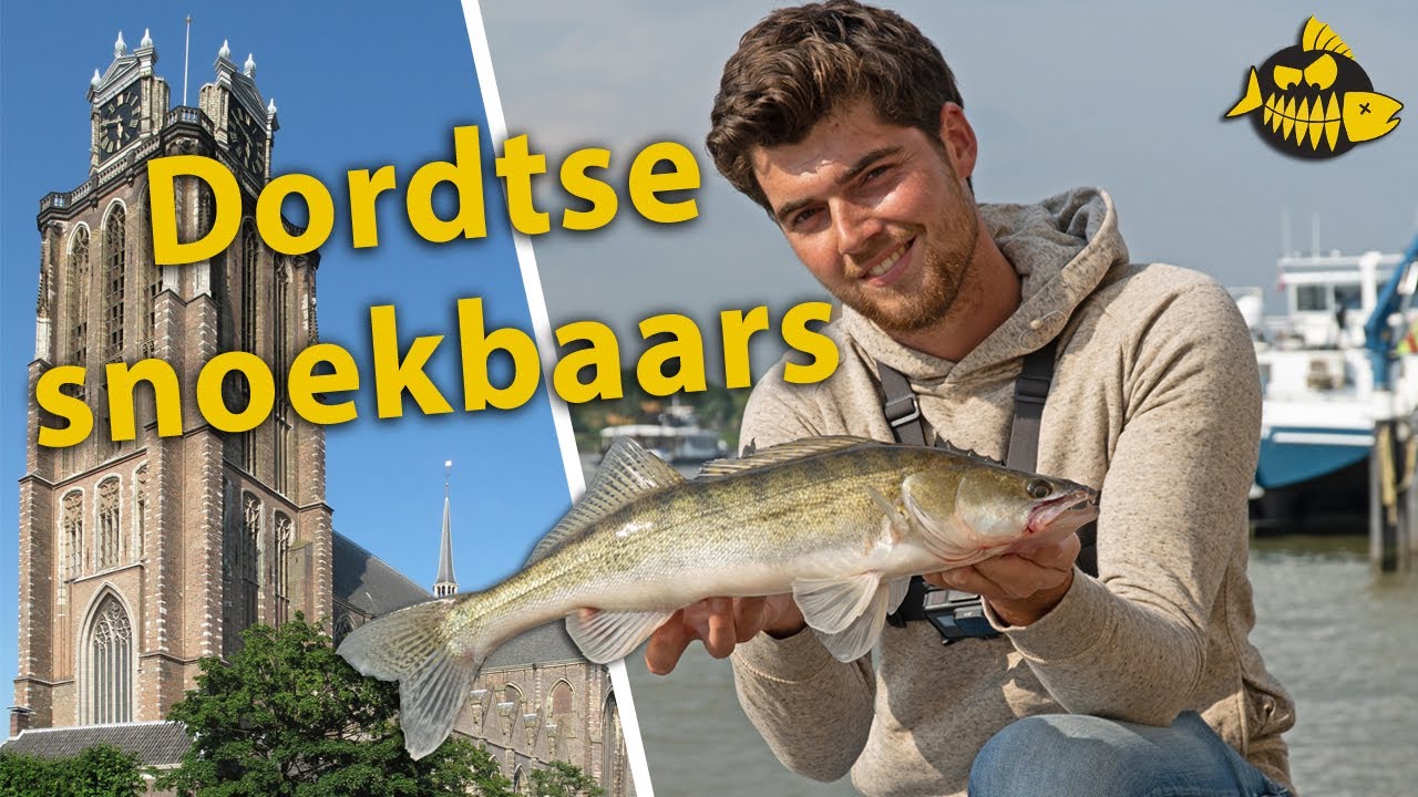 Zo zoekt Luc de Groot goede kantstekken voor snoekbaars – Streetfishing Dordrecht