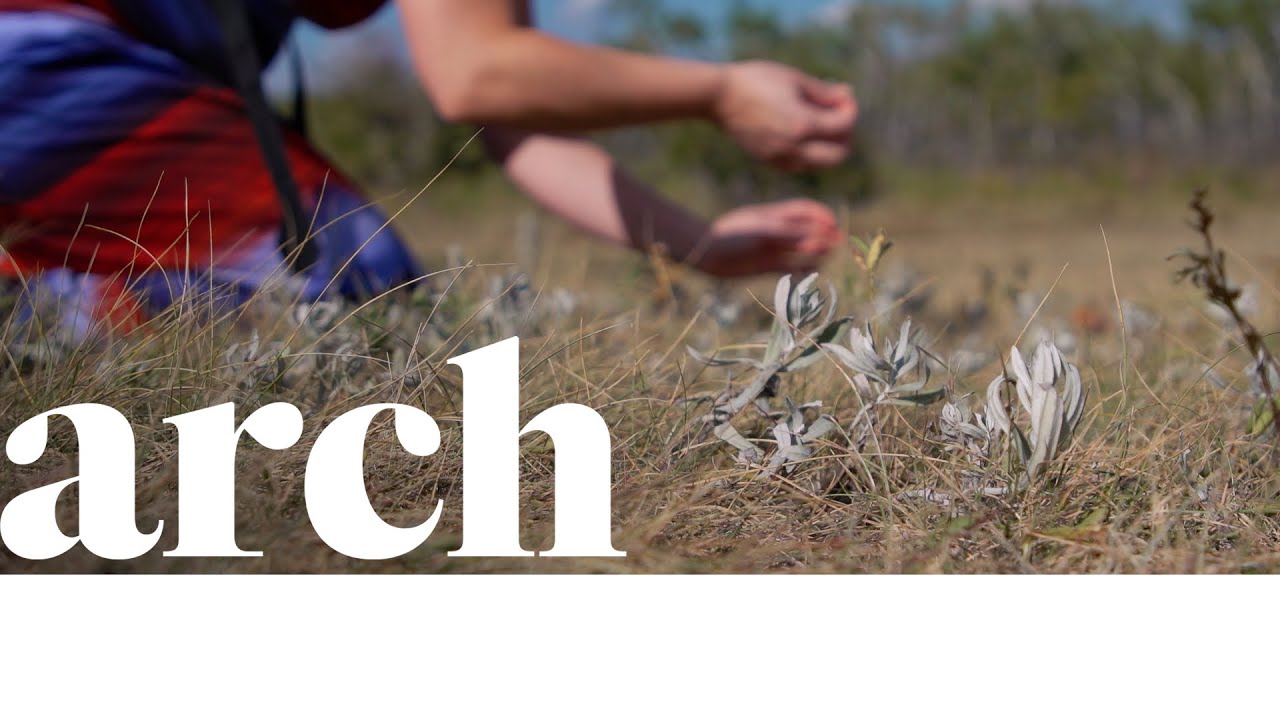 Gathering Sage: Knowledge Keeper shares the sacred traditional practice