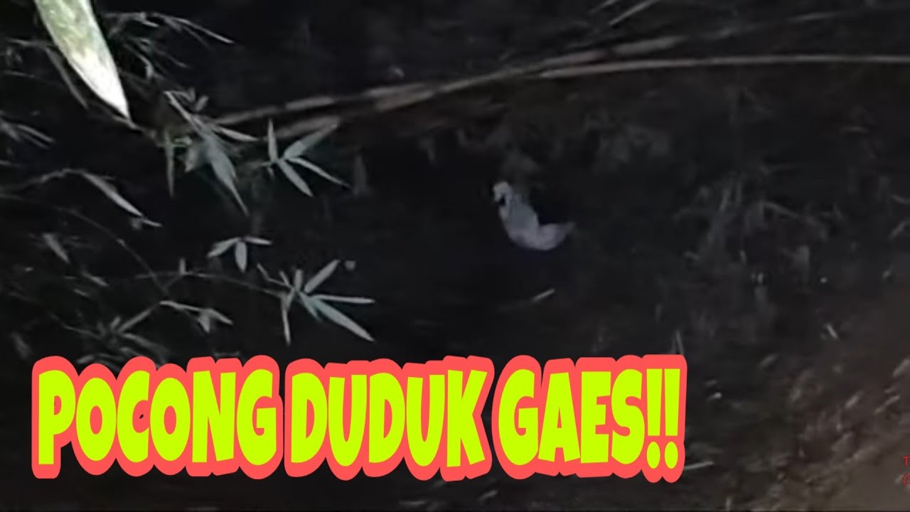 Pocong duduk di Jalur Horror Ft Widi Cah Mancing