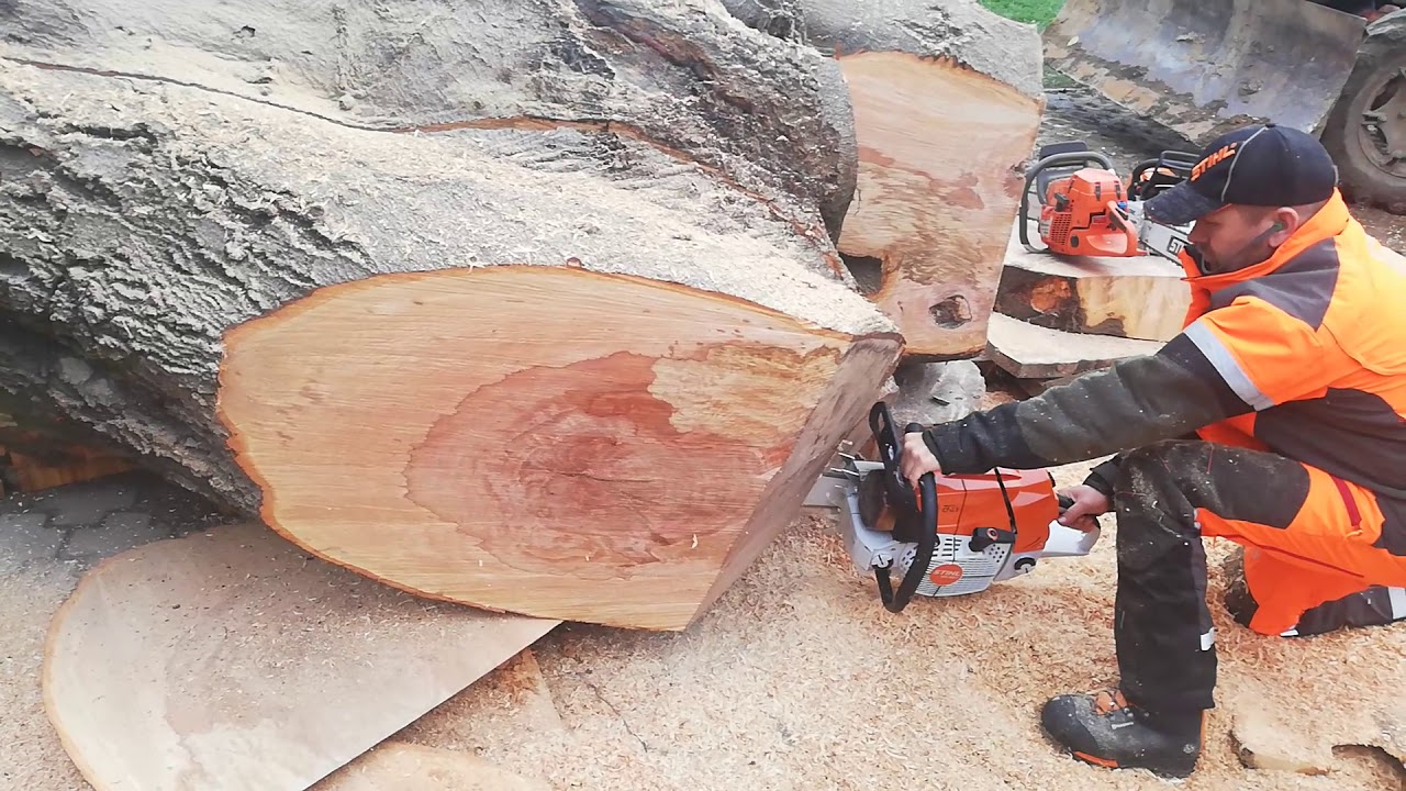 Stihl ms 881  Brutale