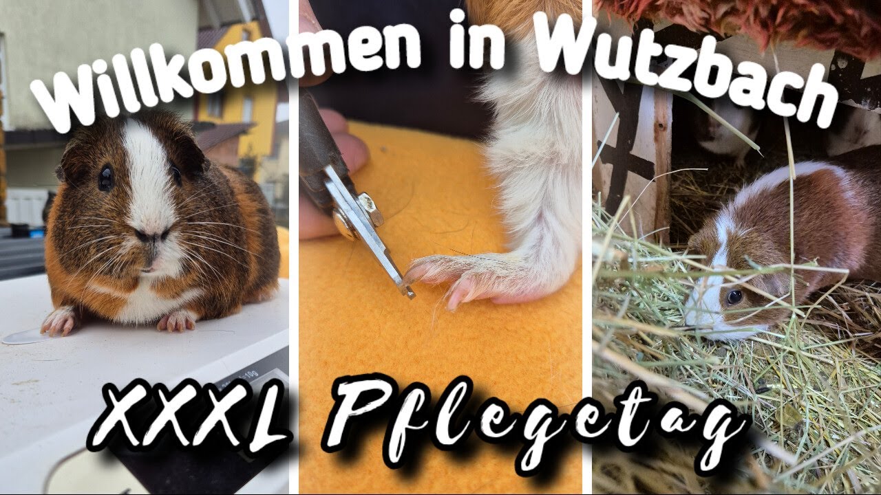 XXXL Pflegetag