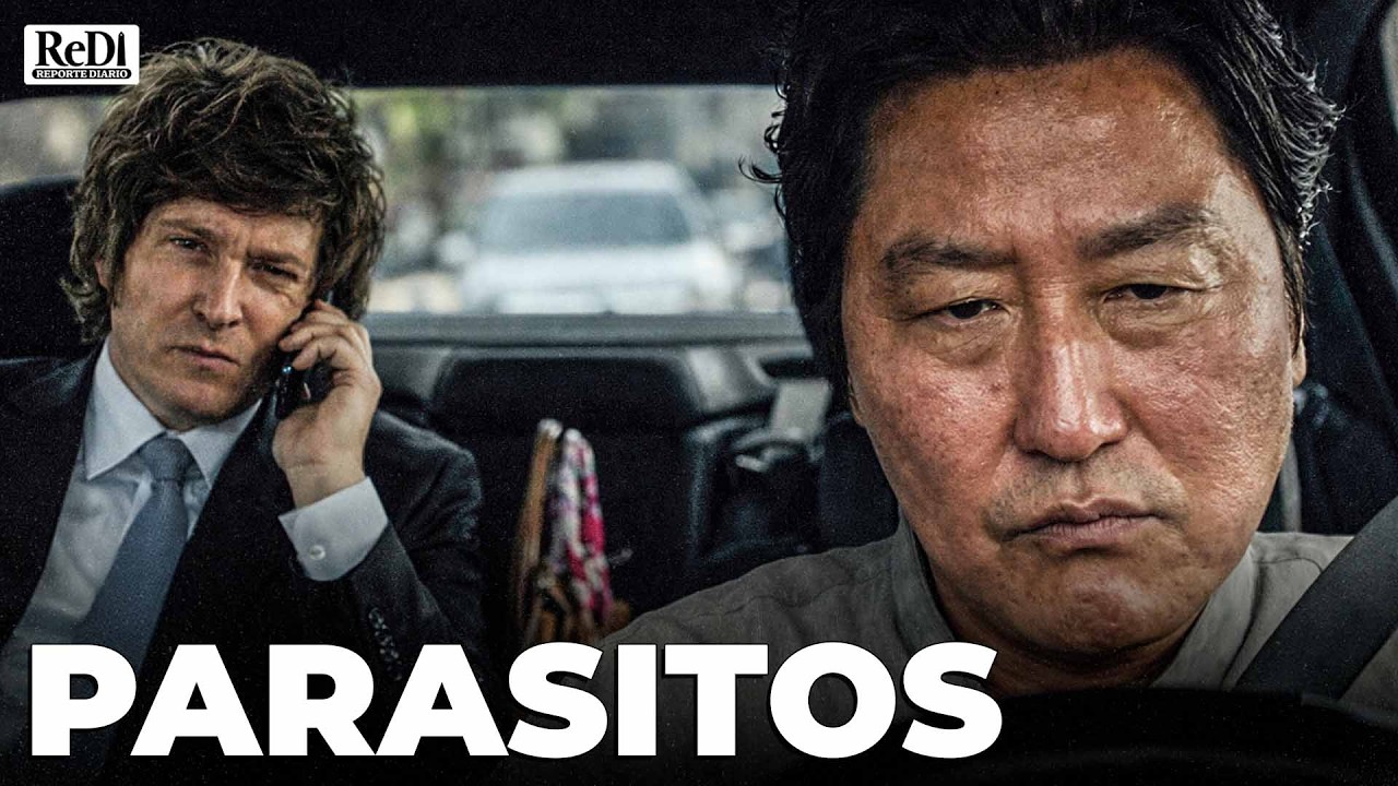 REDI EN VIVO, Reporte diario con Gera Delelisi