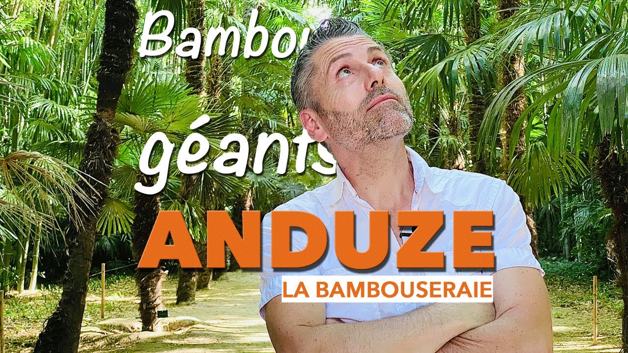 BAMBOUSERAIE ANDUZE-BAMBOUSERAIE-GARD