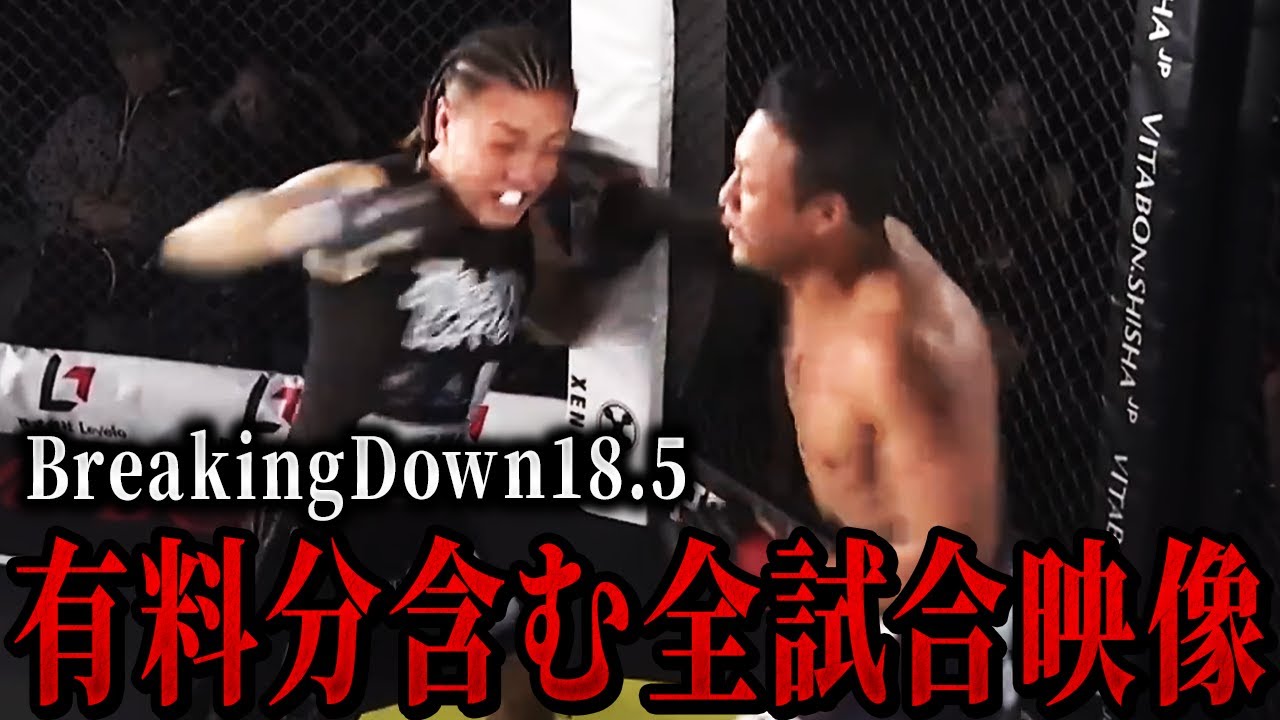 【有料分あり】ブレイキングダウン18.5の全試合映像を集めてみた...【朝倉未来/朝倉海/ブレイキングダウン】