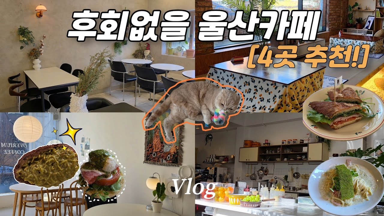 최근 정말 좋았던 울산카페 모음  • 두쫀쿠카페 • 코타츠카페 • 브런치 • 베이커리 • 인스타 